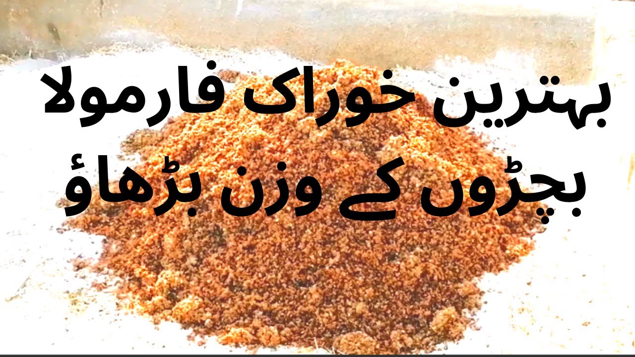 Cattle feed formula |  Fattening Wanda | Multan Maveshi Mandi