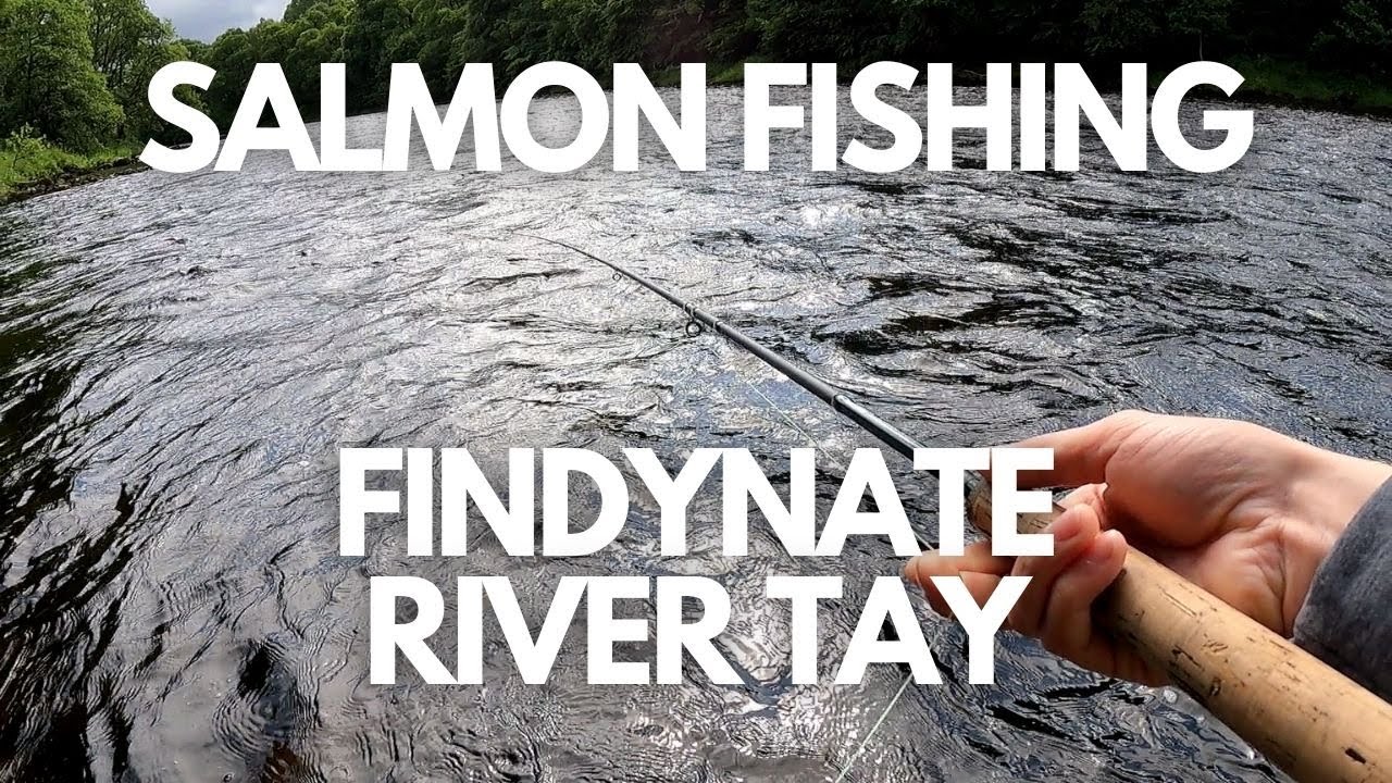Salmon fishing - Findynate beat, river Tay