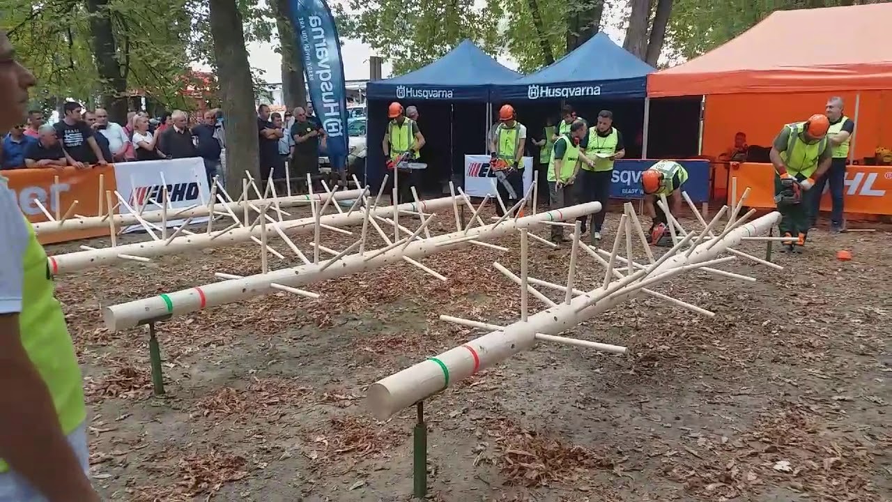 Drvoseče-takmičenje.