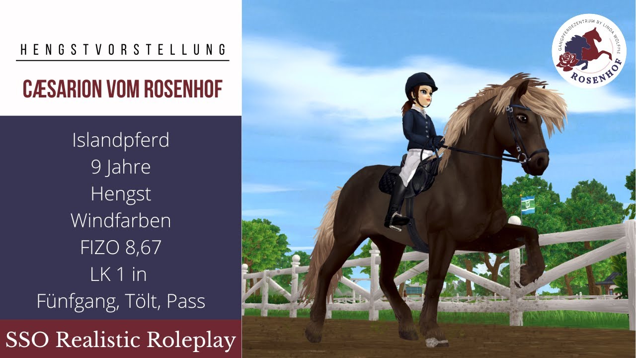 Hengstvorstellung: Ceasarion vom Rosenhof | SSO RRP | Linda Wolfpie