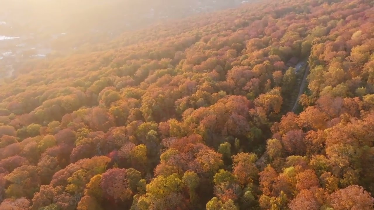 Bakhadiroff & Kholiqov - AUTUMN (Original Mix)