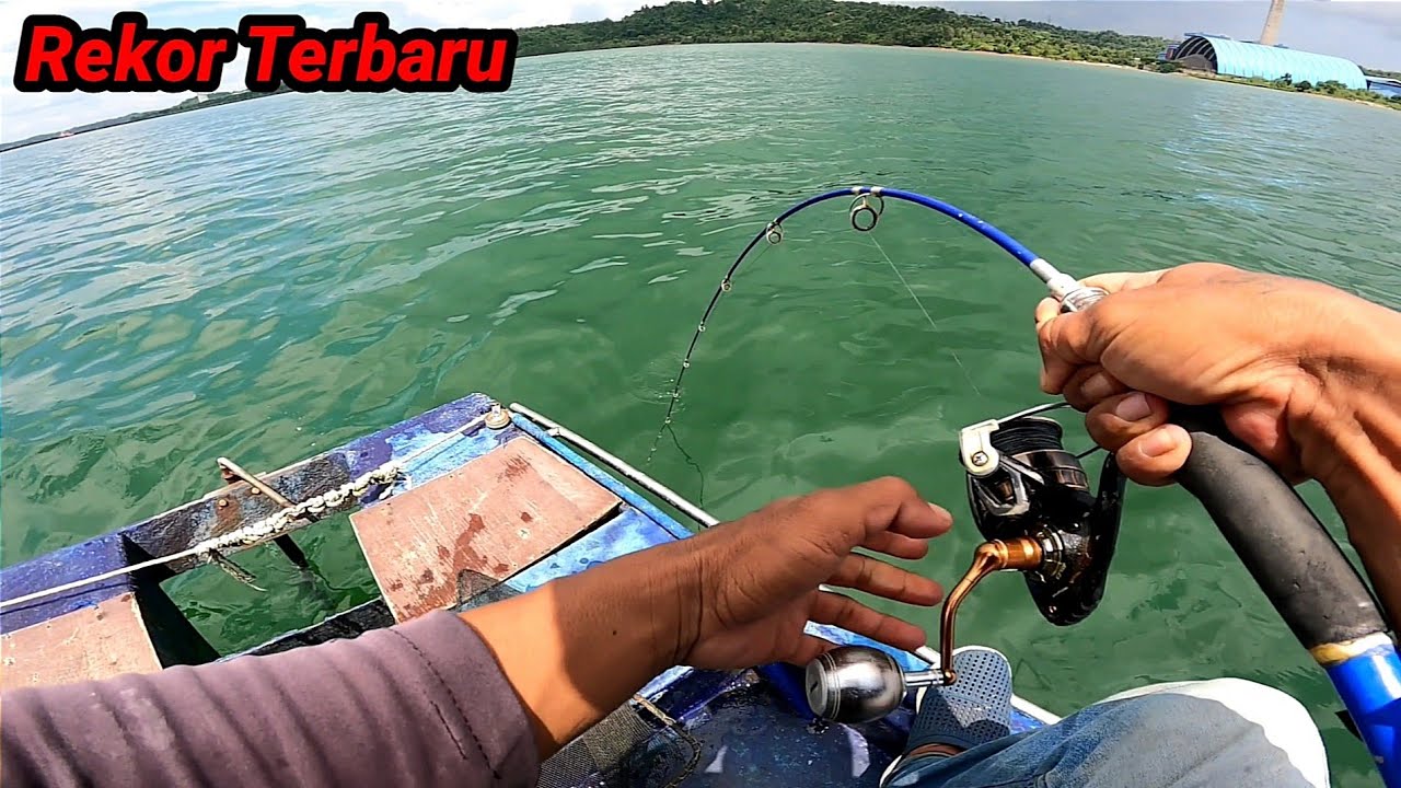 ini Dia ikan Terbesar Yg Pernah Saya Dapatkan,,, Rekor Terbaru