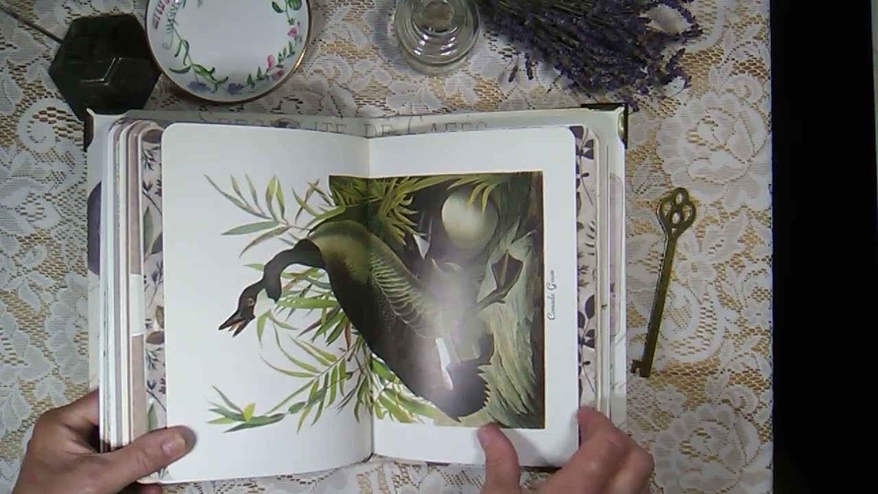 NEUTRAL JOURNAL  AVAILABLE FOR SALE IN CANADA