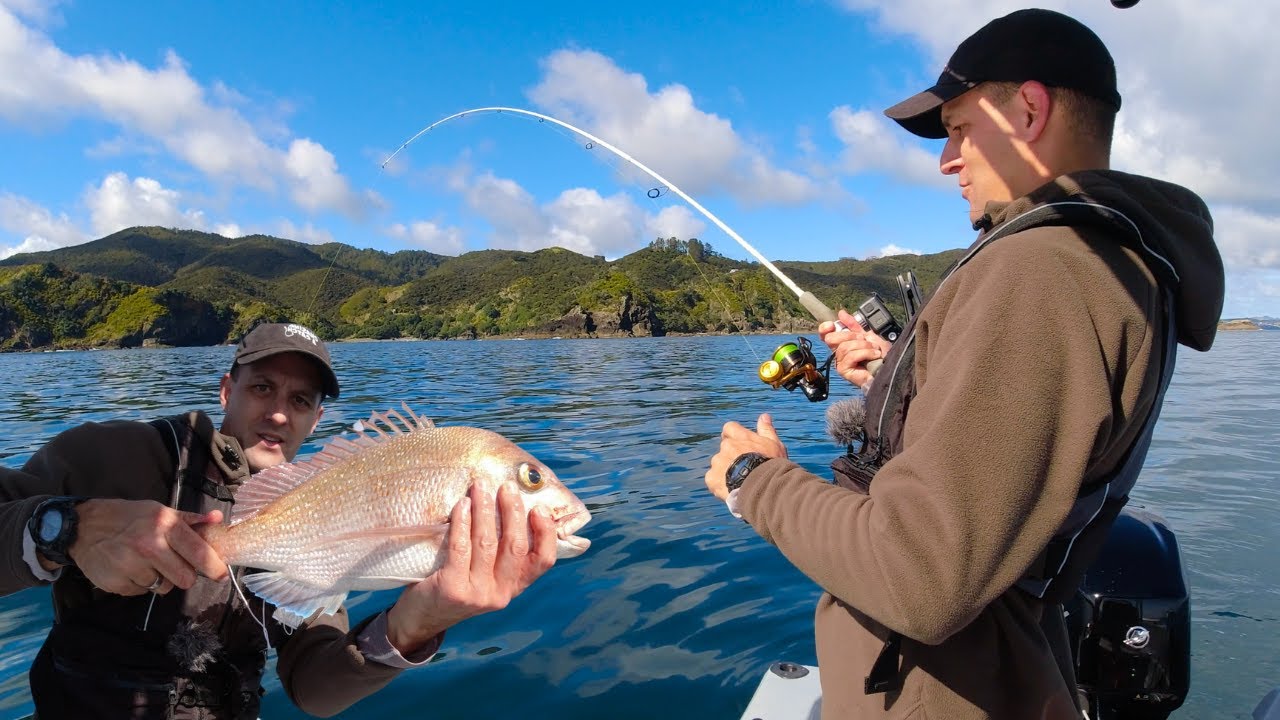 Мягкая приманка SNAPPER + JOHN DORY, рыбалка на лодке в Новой Зеландии