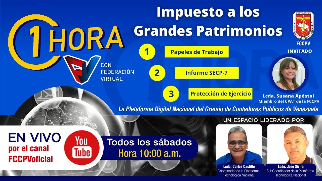 IGP: Papeles de Trabajo, Informe (SECP-7), Protección de Ejercicio Profesional.
