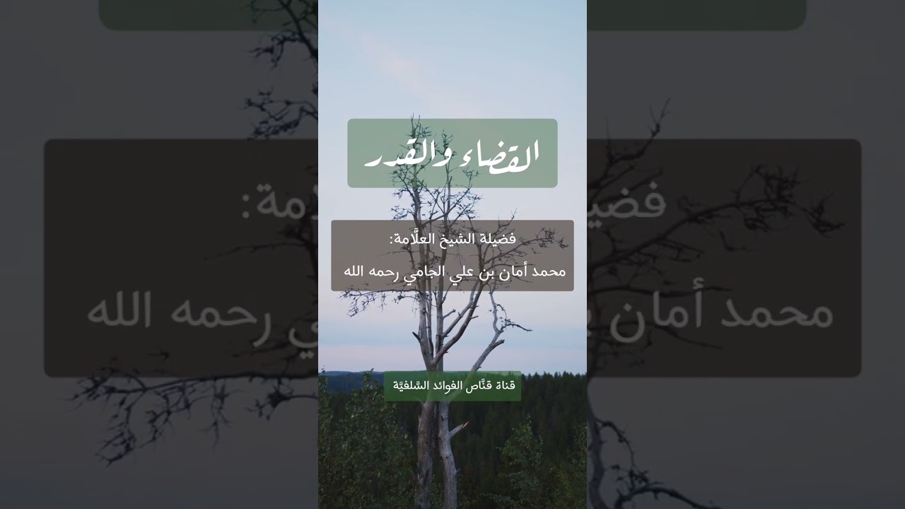 هام جدًا ... 🍃 القضاء والقدر 🍃لفضيلة الشيخ العلَّامة:محمد أمان بن علي الجامي رحمه الله