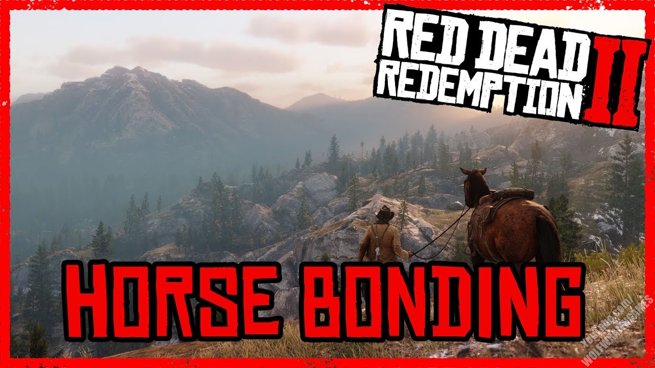 Bonding With Your Horse - Red Dead Redemption 2 - Horse Guide (PS4)