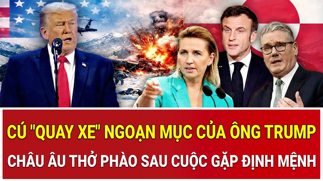Cú 