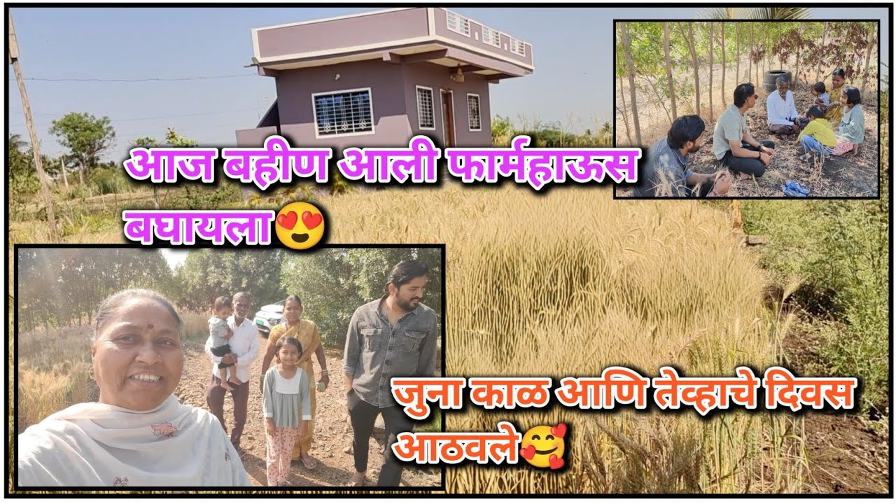 आज बहीण आली फार्महाऊस बघायला😍#shakuntalabangale #vlogs #marathi  #dailyvlog #vlog 