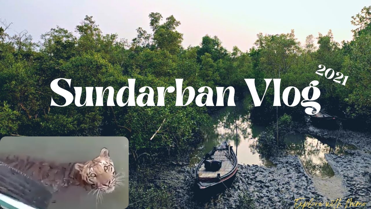 Adventure in Sundarban // New places found in Sundarban.. // Explore with Mimo..😊😍