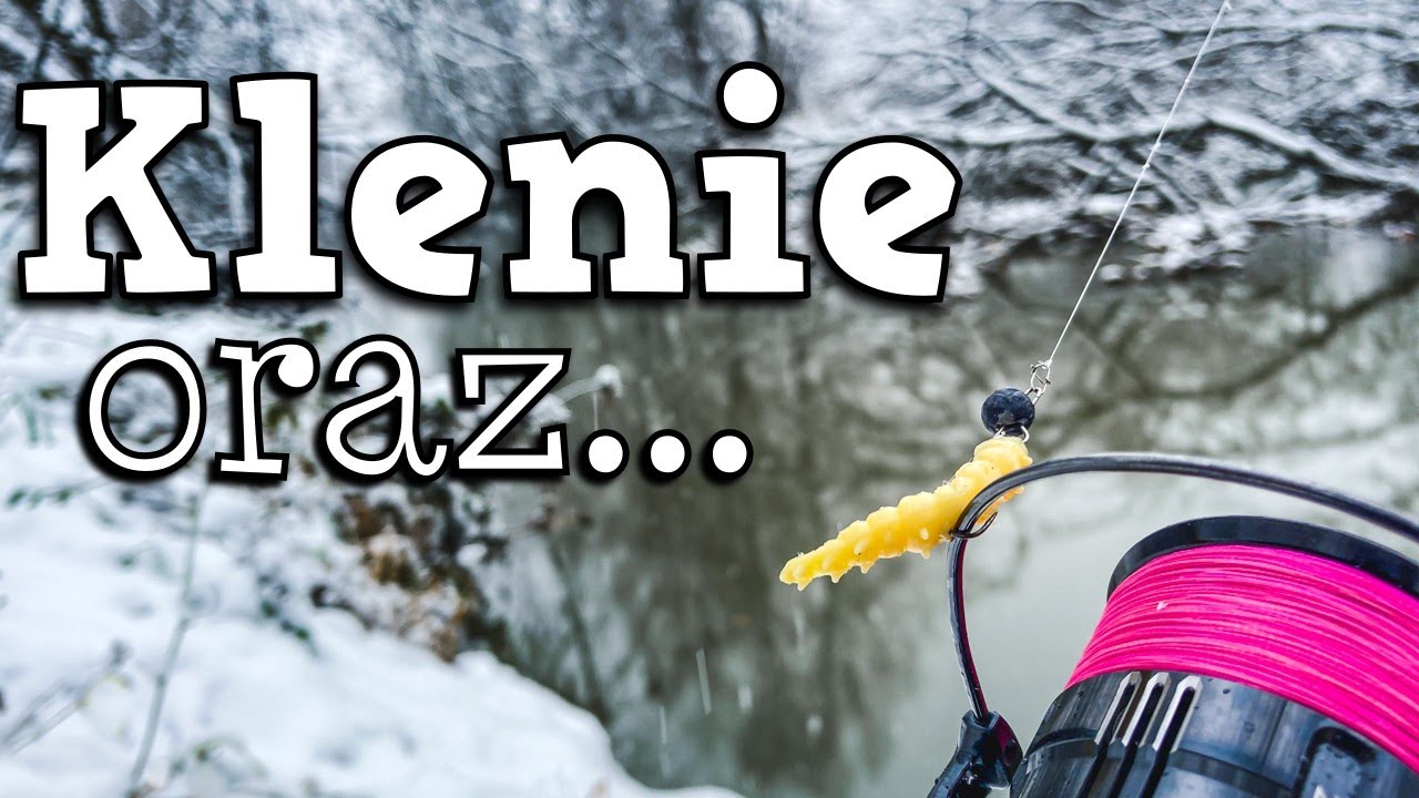 Zimowe klenie i jakaś taka płaska ryba ❄ Ultralight w śnieżycy!