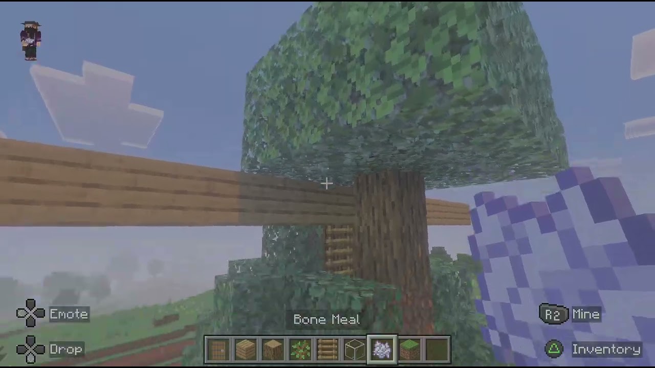 Minecraft Spawning herobrine