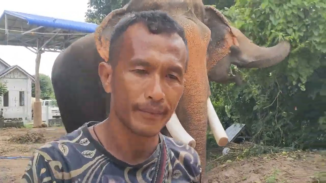 อย่าพูดเป็นเล่นนะควาญอ็อด
