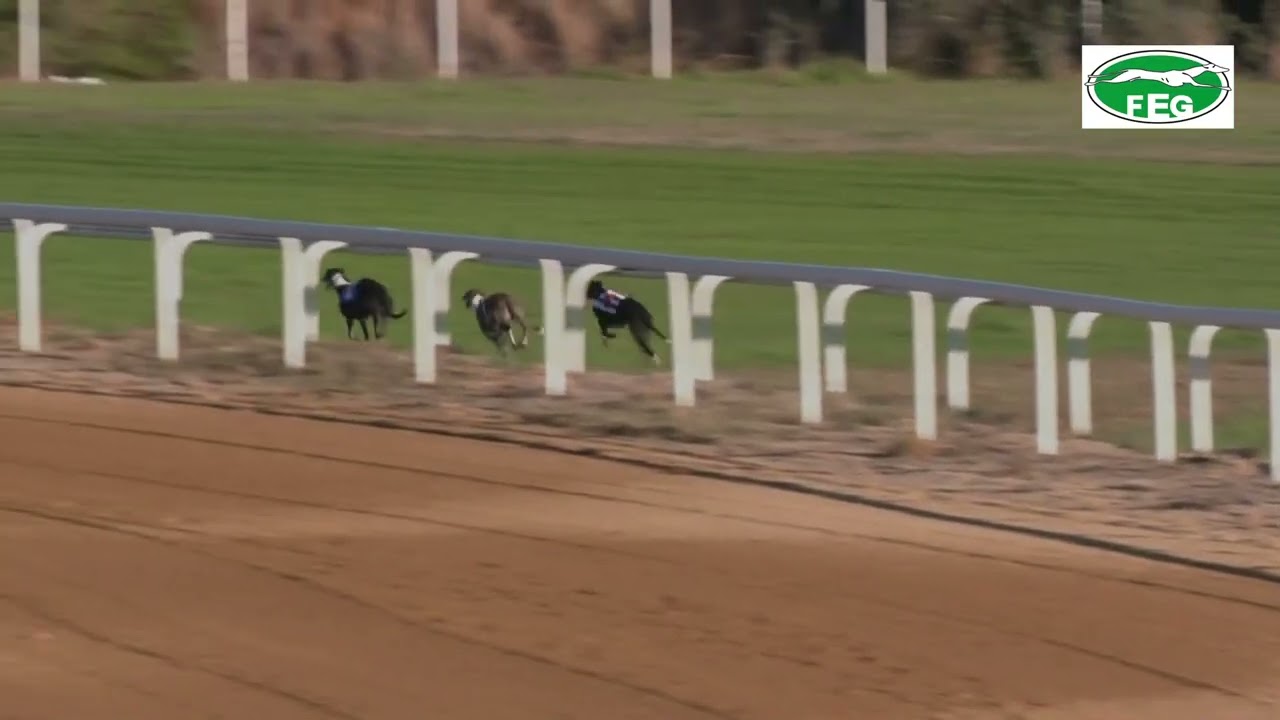 Resumen Regates 025 Hipódromo de Dos Hermanas