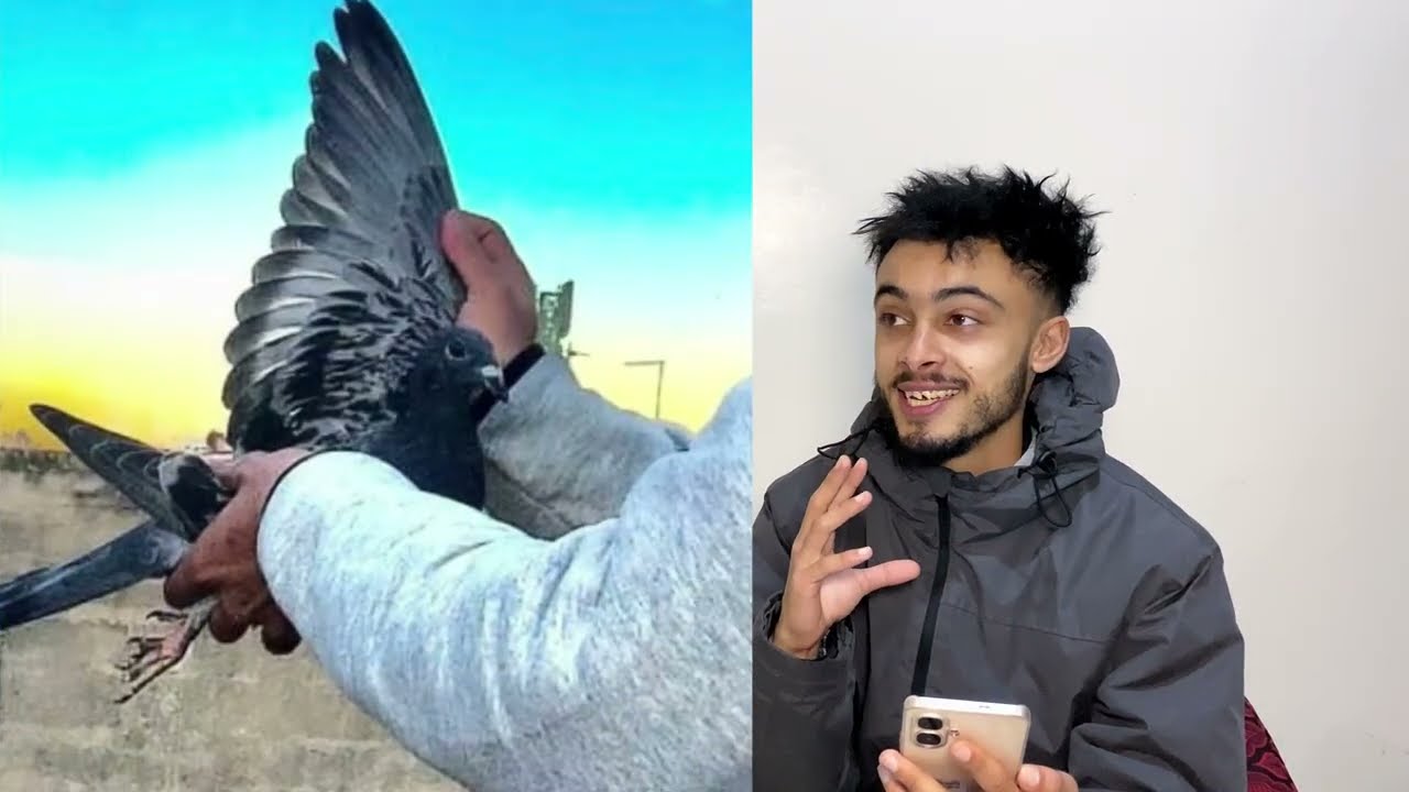 تصوري من بديت فيديوهات من كنت صغير ،رجعات ليا حمامة 🕊️بلا عين مسكينة بقات فييا 🥹