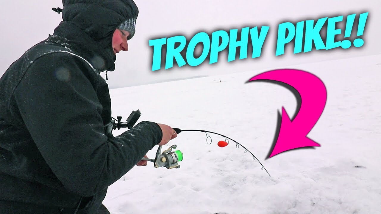 TROPHY PIKE FISHING!! She HOOKS A GIANT!!