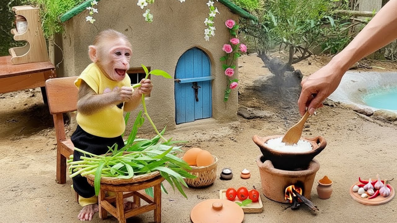 Smart monkey Bili helps dad harvest vegetables in the garden to make lunch | Bili's story