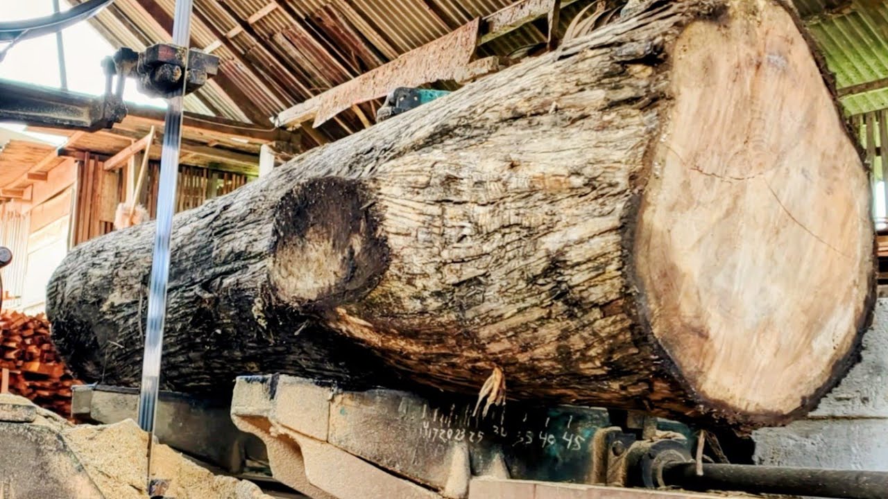 HIGH QUALITY TEAK WOOD FOR LUXURY FURNITURE