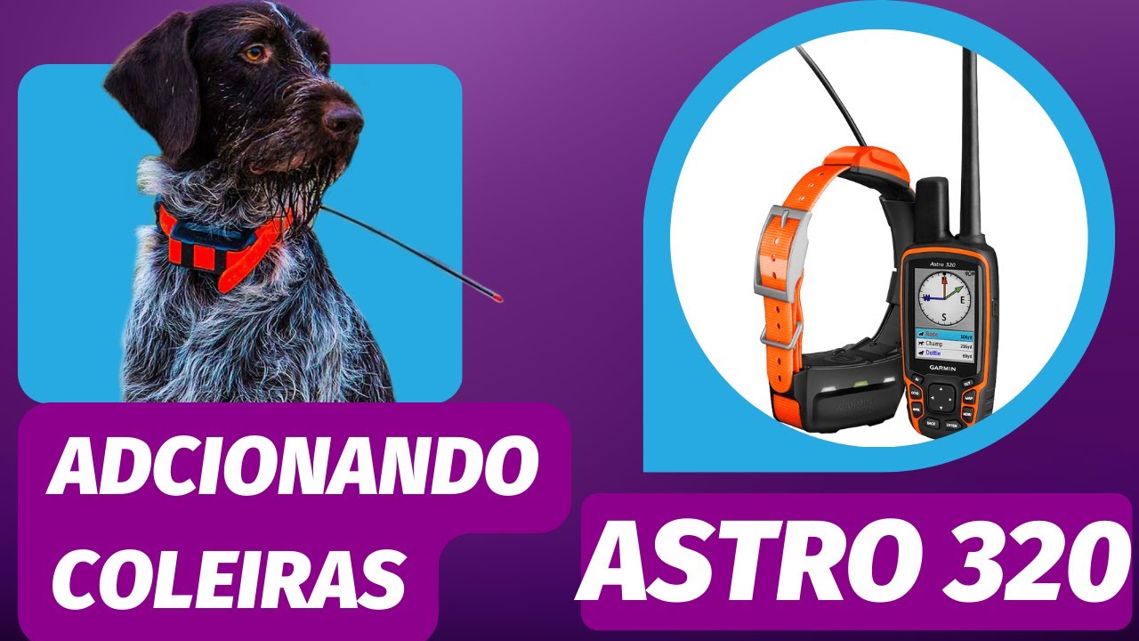 Como adicionar coleiras ao Garmin Astro 320