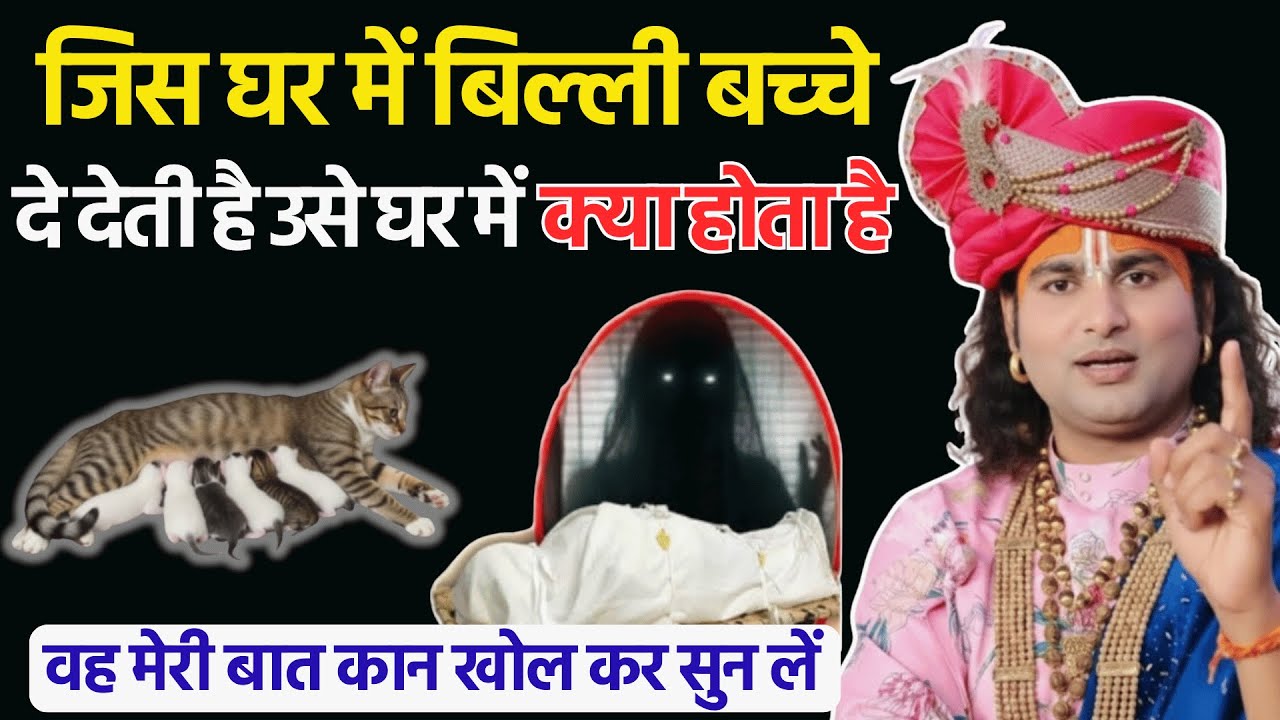 जिस घर में बिल्ली 😱 बच्चे दे देती है,उसे घर में 😱 क्या होता है,मेरी बात कान 😱खोल करके सुन लो नहीं तो