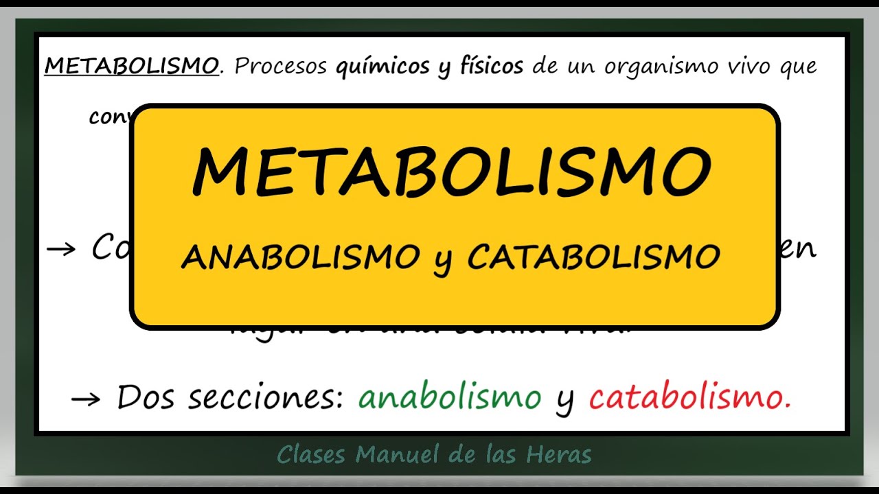 METABOLISMO. Diferencia Anabolismo y Catabolismo. Autótrofos y Heterótrofos. Biología Bachillerato.