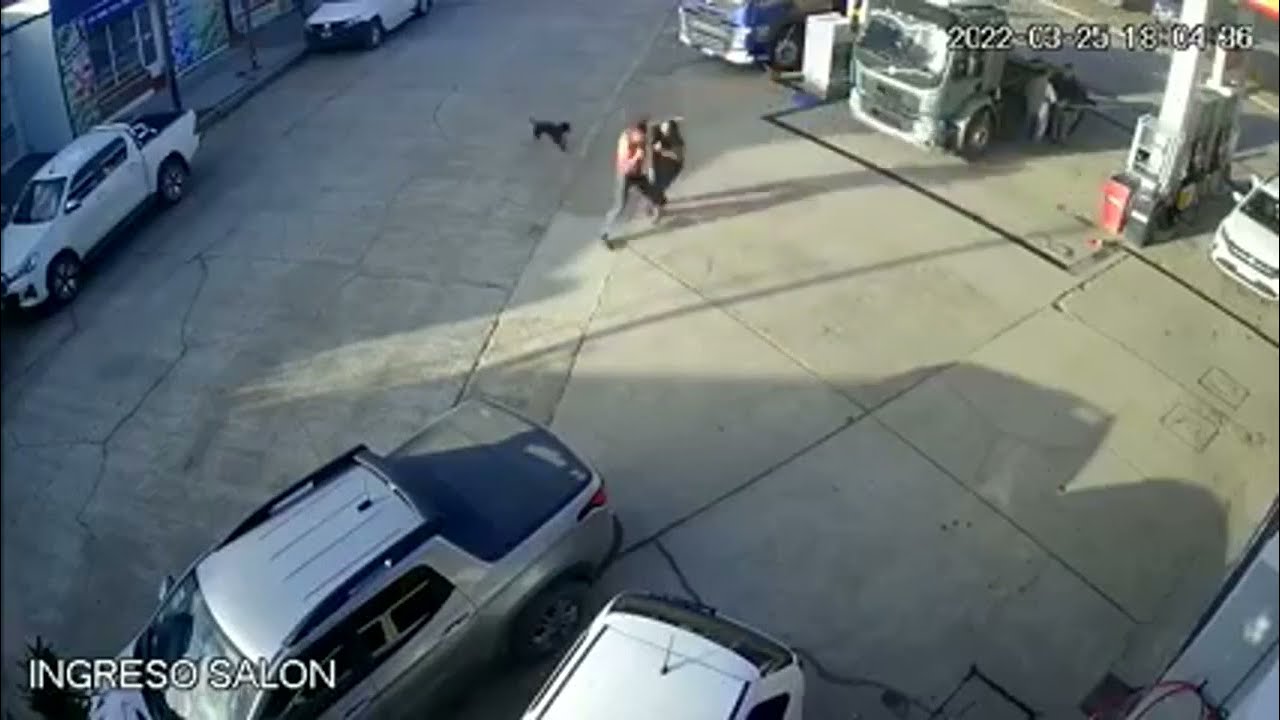 Un playero se pele&oacute; con un cliente y lo defendi&oacute; un perro