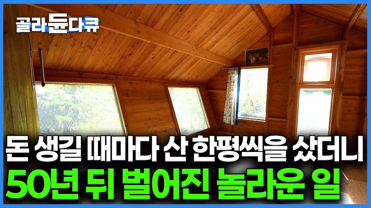 퇴직금 전부 쏟아부어 아파트 평수 대신 산을 산 사나이, 산에 살며 특허낸 24개 벌통으로 돈 벌이에 낭만실현까지 확실하다｜한국기행｜#골라듄다큐