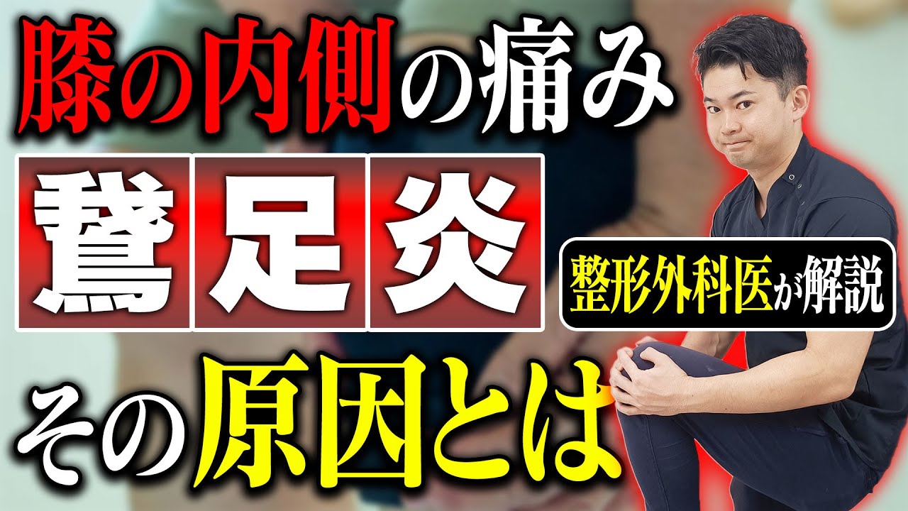 鵞足炎とは？原因から治療期間まで医師が徹底解説！