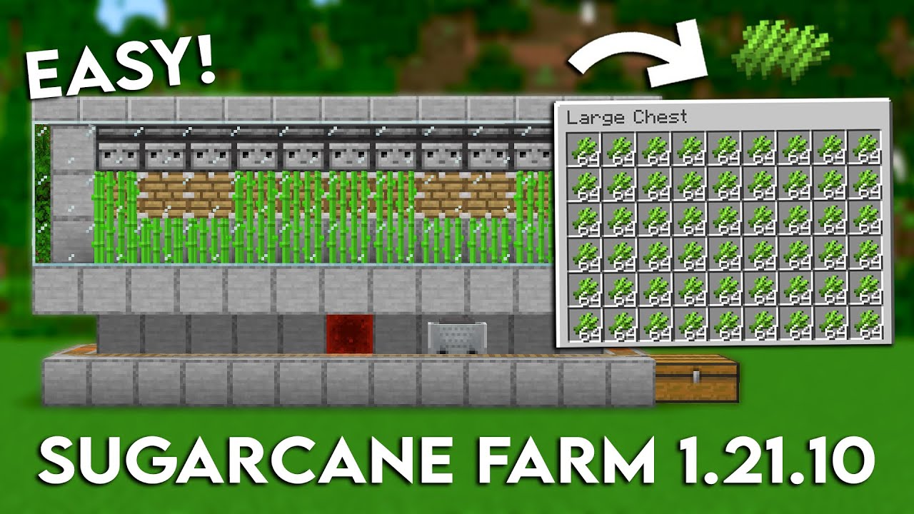 MINECRAFT EASY AUTOMATIC SUGARCANE FARM 1.21.10 TUTORIAL