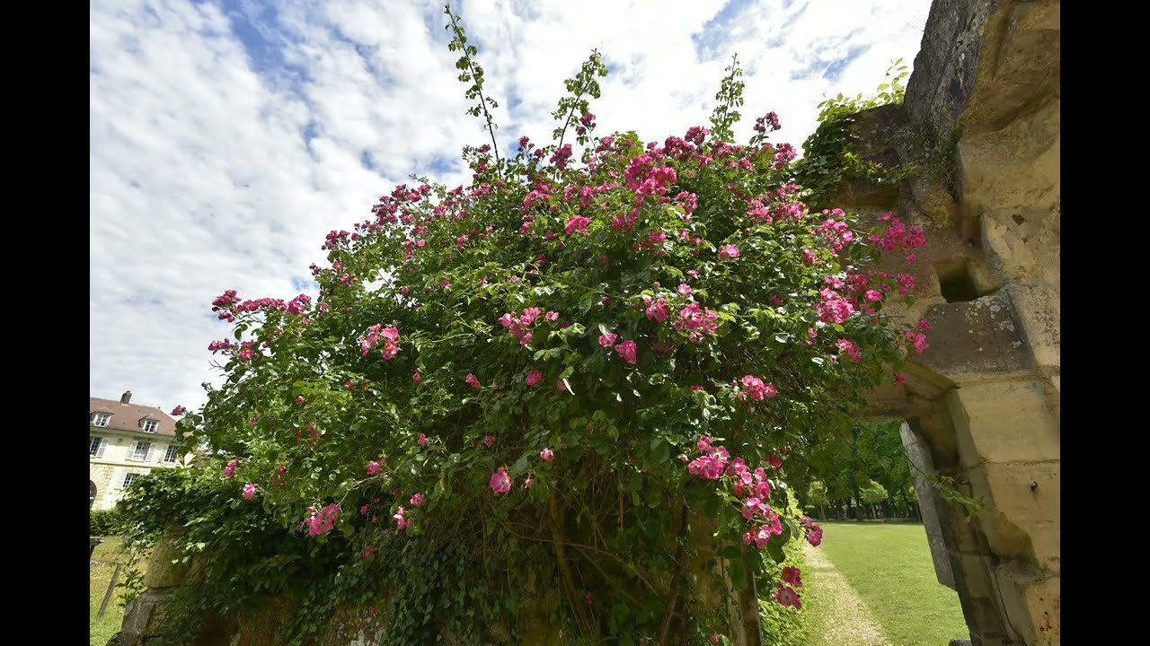 Abbaye de Royaumont