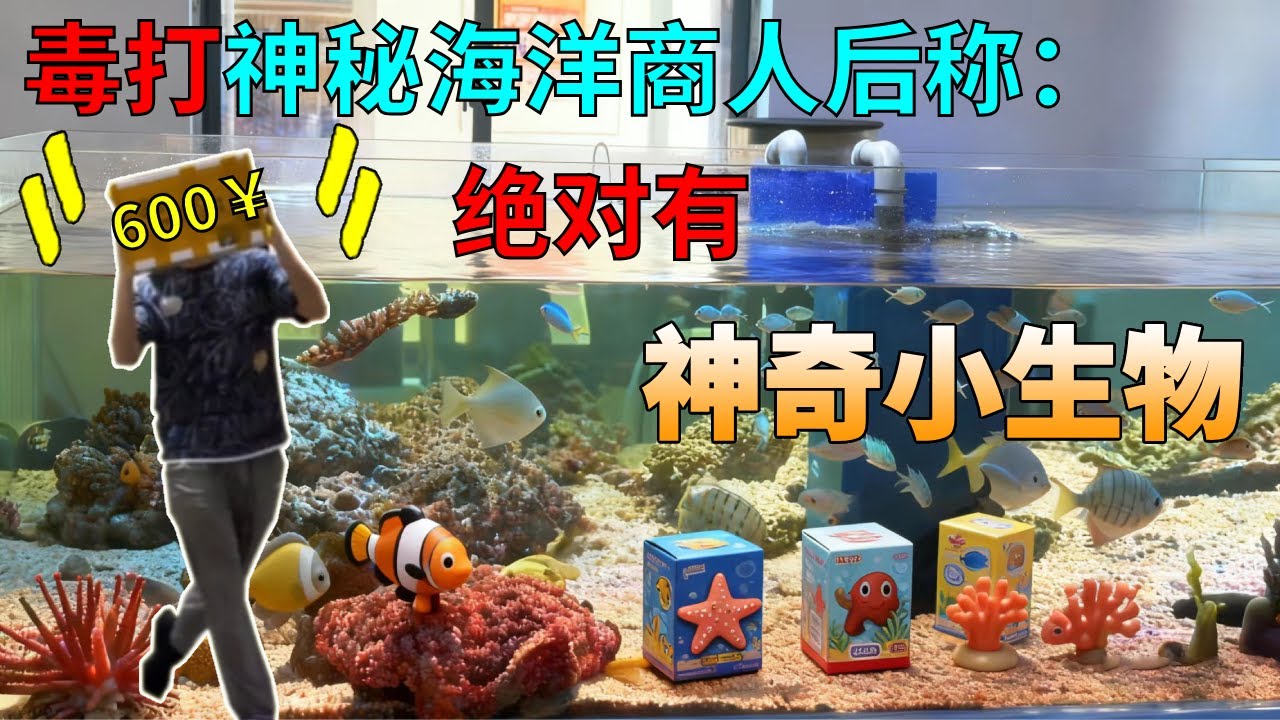 将神秘海洋商人暴打一顿后，消费600块买了海洋生物盲盒，说一定有神奇的小生物开来看看吧#诺亚方缸 #海洋生物 #盲盒