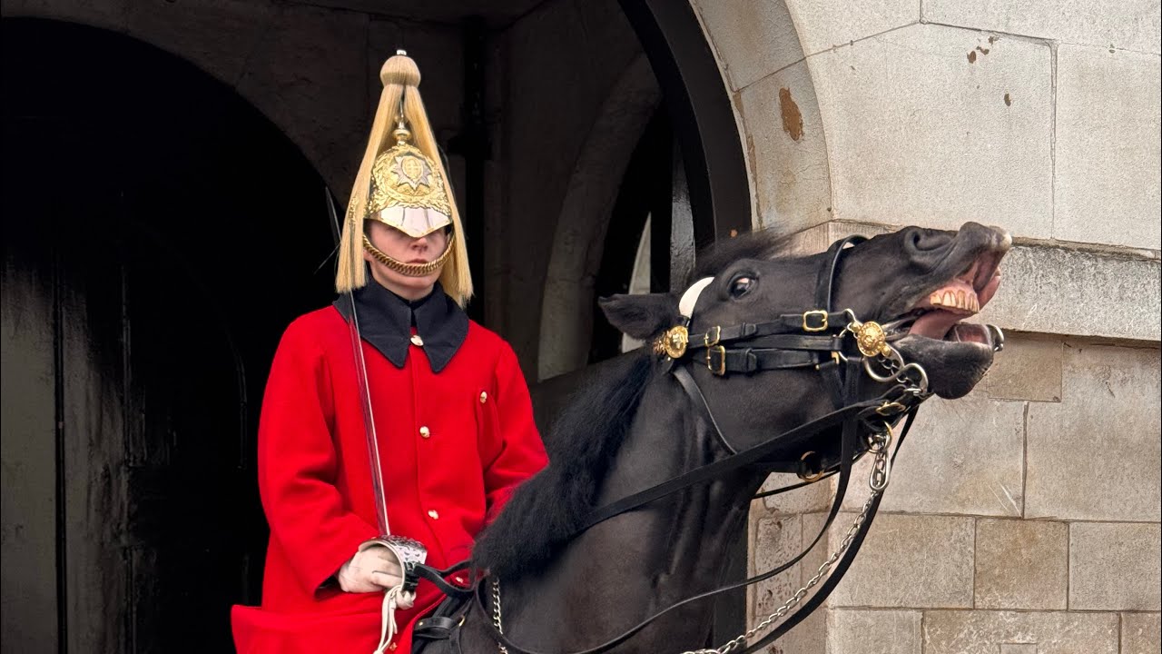 London Horse Guards!” 