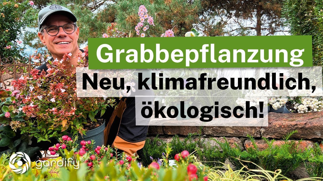 Grabbepflanzung: Neu, klimafreundlich, &ouml;kologisch!