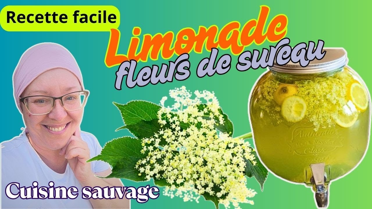 Pétillant limonade à la fleur de sureau facile cuisine sauvage