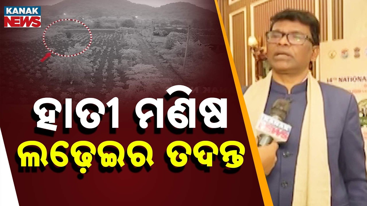 Dhenkanal Elephant Attack: 3 Death, 3 Injured | Forest Minister Blames Selfies & Low Awareness