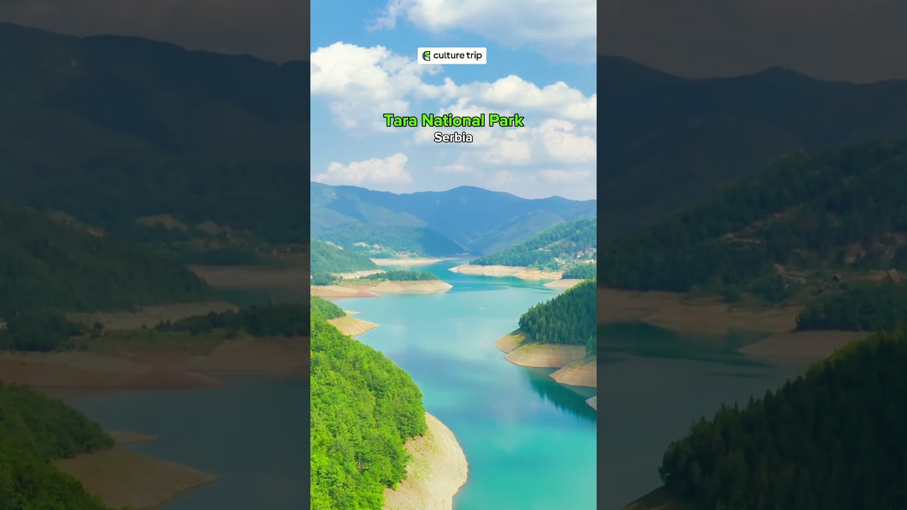 Tara National Park in Serbia 🌲🇷🇸✨ #culturetrip