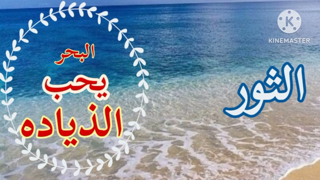 الثور 💯(بيتفتحلك الف باب وباب .. وماله البحر يحب الذياااده الطاقه الروحانيه الثور)