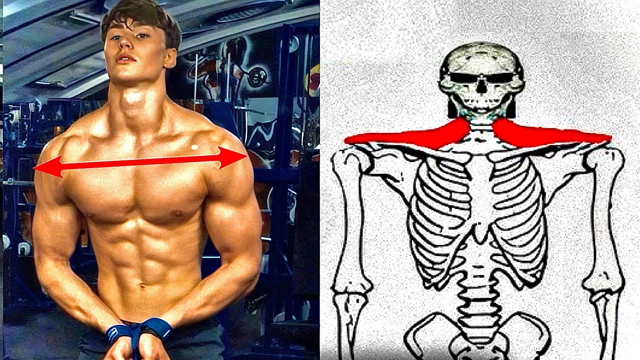 Как расширить ключицы (самые простые способы)