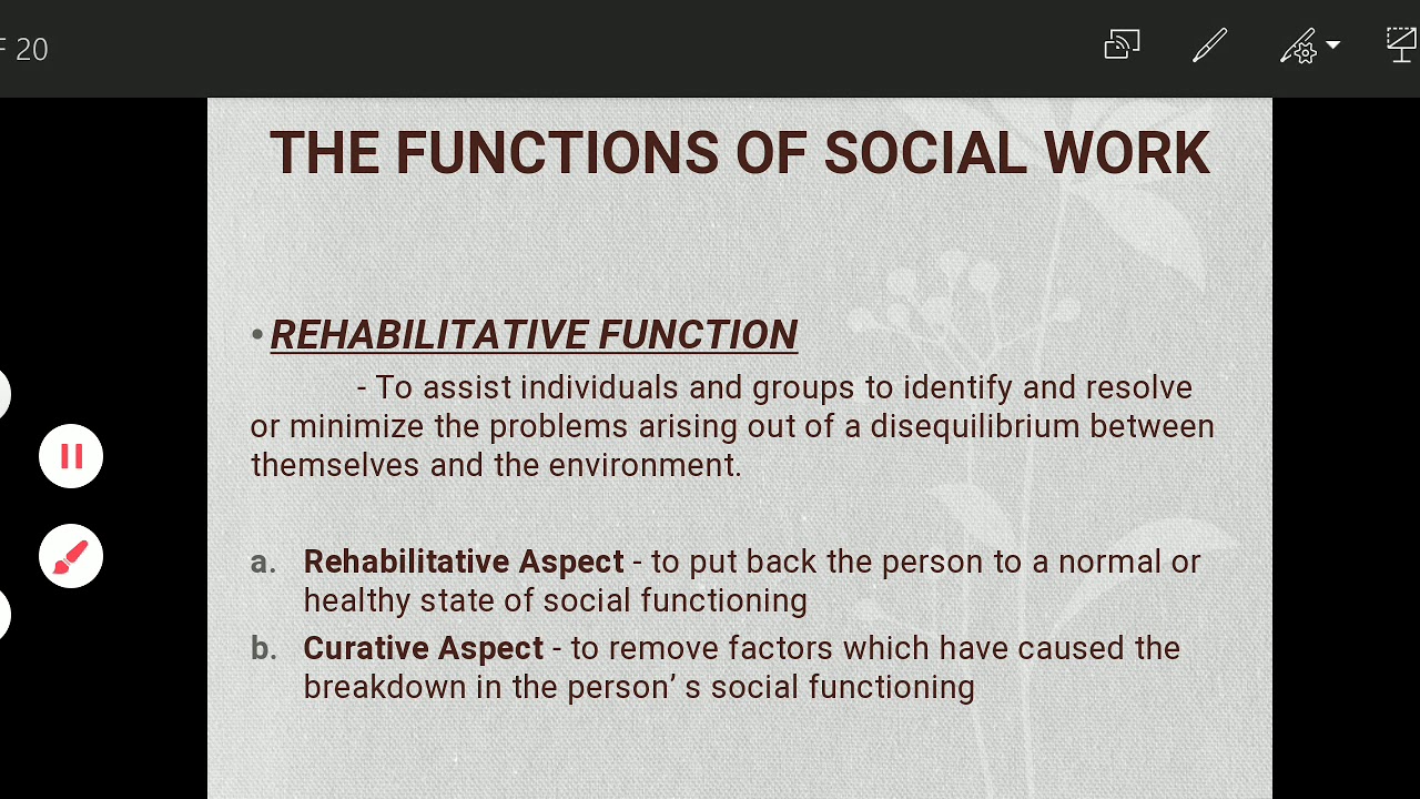 Professionals and Practitioners in Social Work