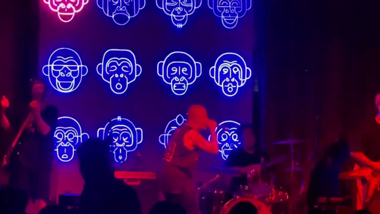 Mr. Pig (Greyhoundz) live at 12 monkeys