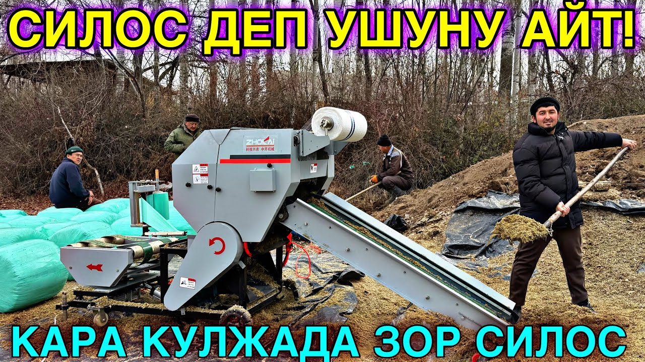 СИЛОСТУН САПАТТУУСУ ЧЫКТЫ МЫНА 🤯#байтв 