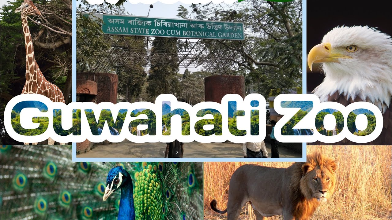 V1  - Guwahati Zoo tour after Lockdown - 2022 | sach mein vlog hei kya🤪 #assam #india #zoo #vlog