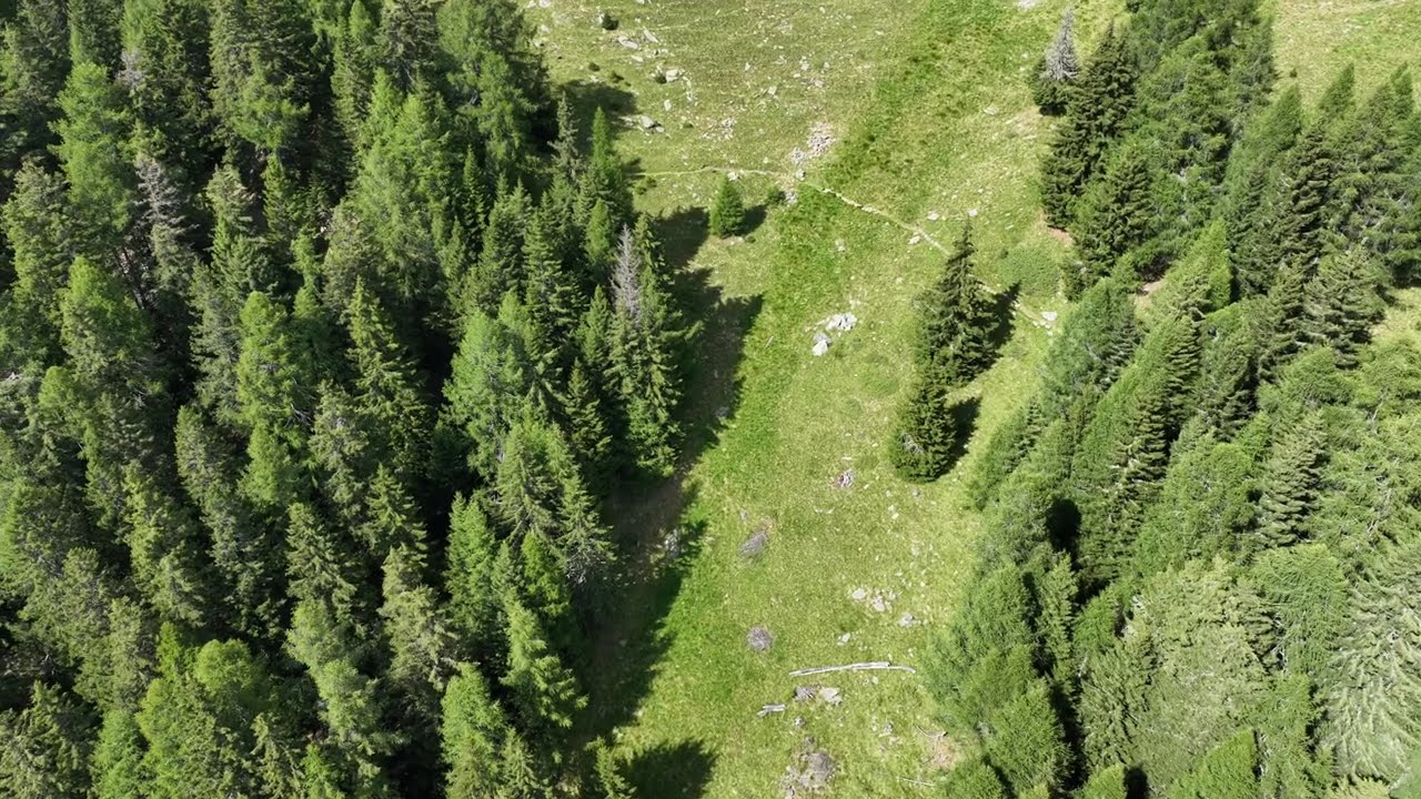 Occhi di Falco vola in alto ai Piedi del Pizzo Erra  Ticino Leventina
