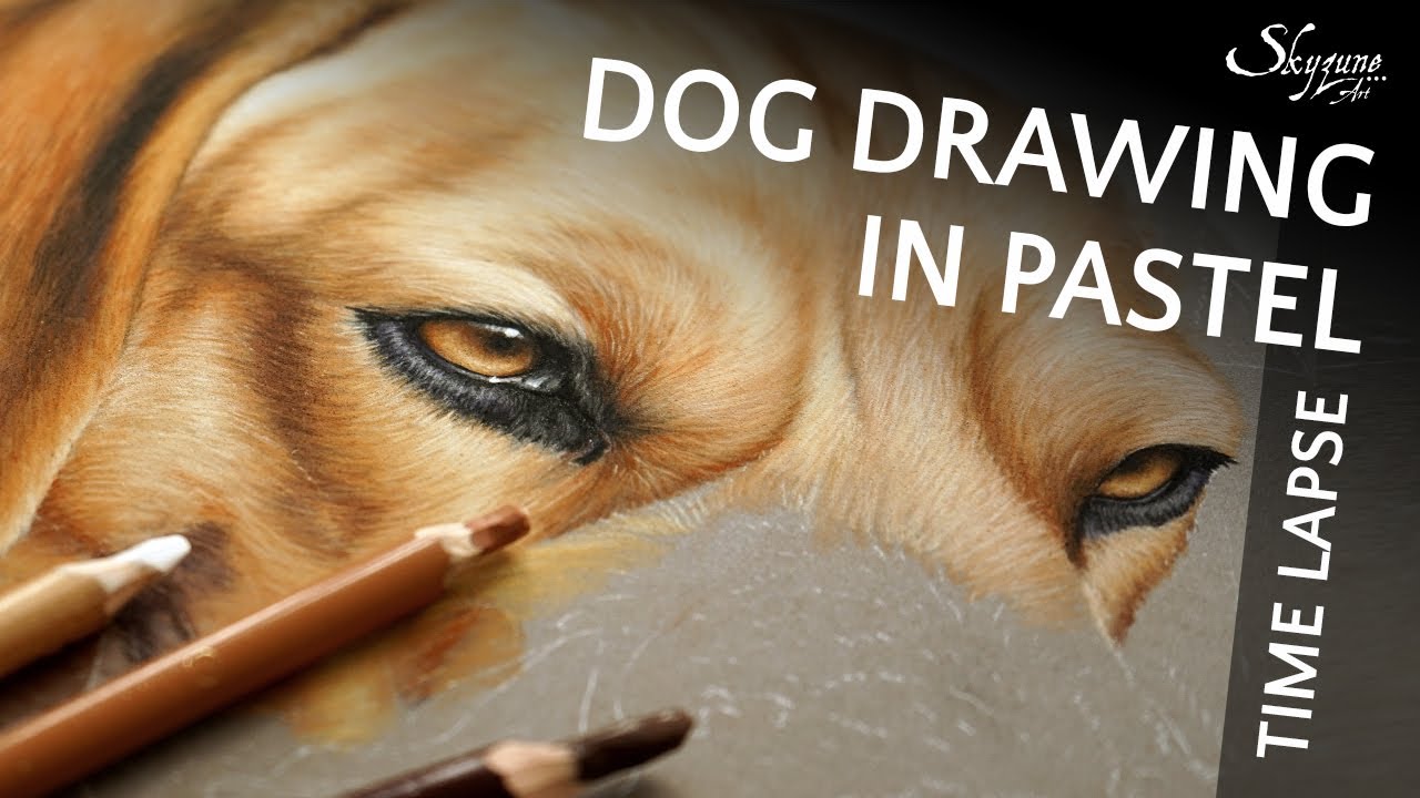 🎨 Dog drawing in soft pastel / Dessiner un chien au pastel sec • Time lapse • Skyzune ART