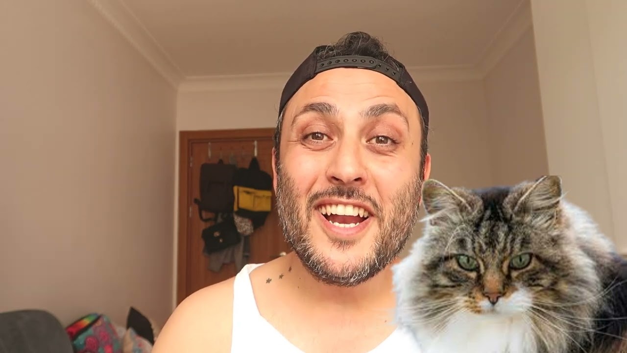 NORVEÇ ORMAN KEDİSİ BAKIMI VE ÖZELLİKLERİ
