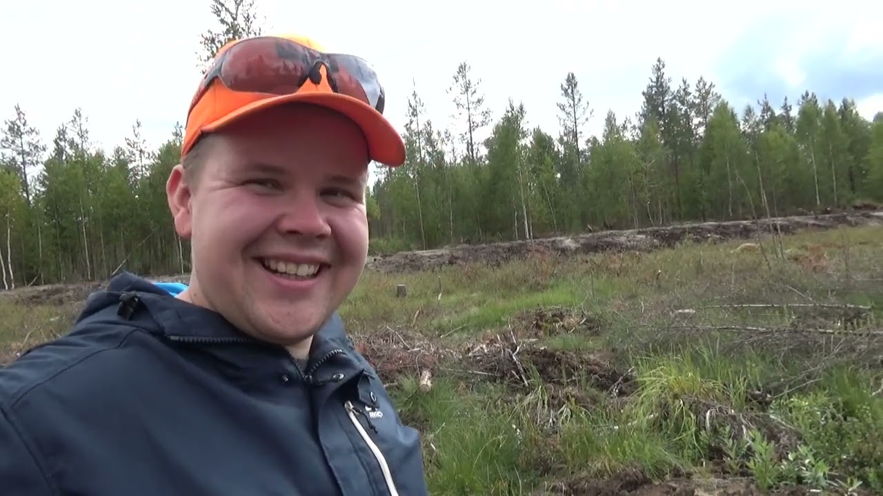 Nuoren metsänomistajan mietteitä kosteikon äärellä