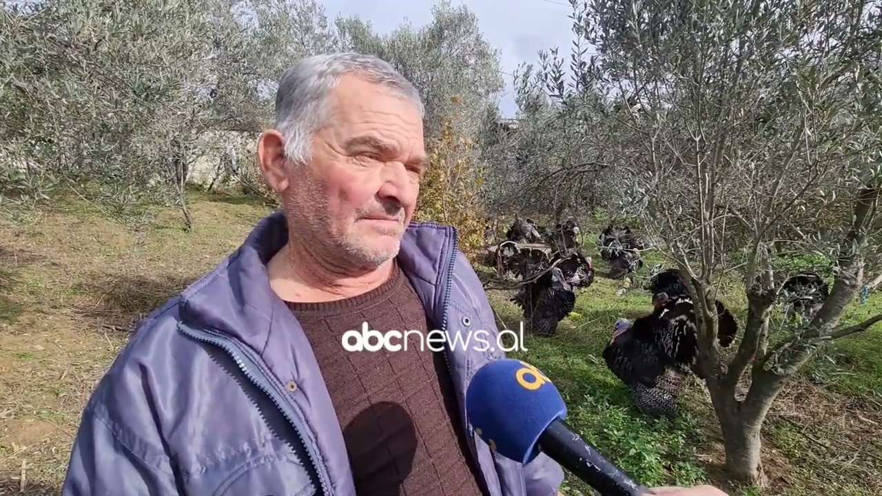 Në fshatin ku burrat rrisin gjela deti/ Fermeri: Gratë merren me punët e shtëpisë | ABC News Albania