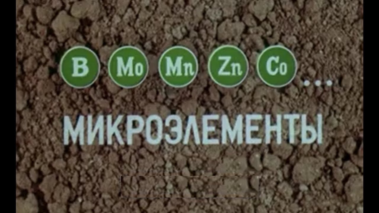 Микроэлементы и симптомы недостатка у растений