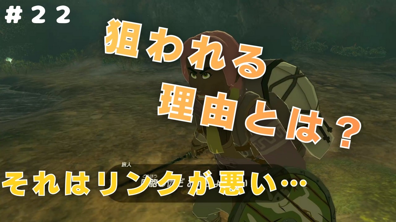 【ゼルダの伝説 ティアーズ オブ ザ キングダム】｜リンク恨まれる＃２２【ながら見推奨実況】