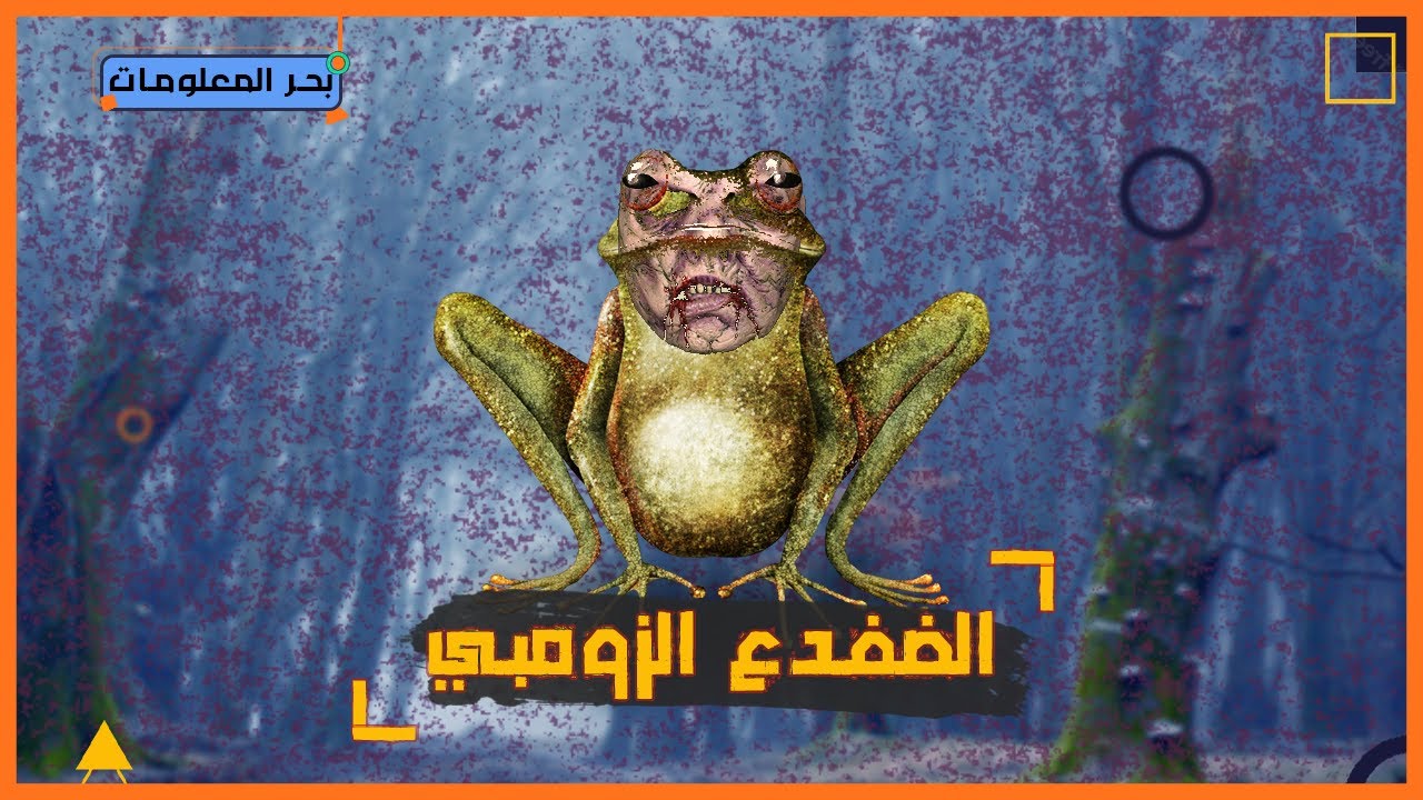 عجائب الحيوان 🐼🦇🦅[1_ الضفدع الذي يعود للحياة بعد الموت]